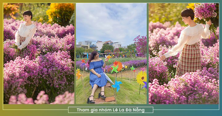 [Cực Hot] Náo nức check-in vườn hoa thạch thảo tím mộng mơ ở Đà Nẵng